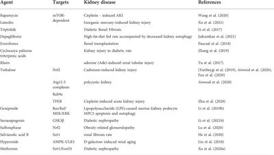 Molecular mechanisms and physiological functions of autophagy in kidney diseases